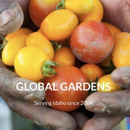 hands holding garden produce